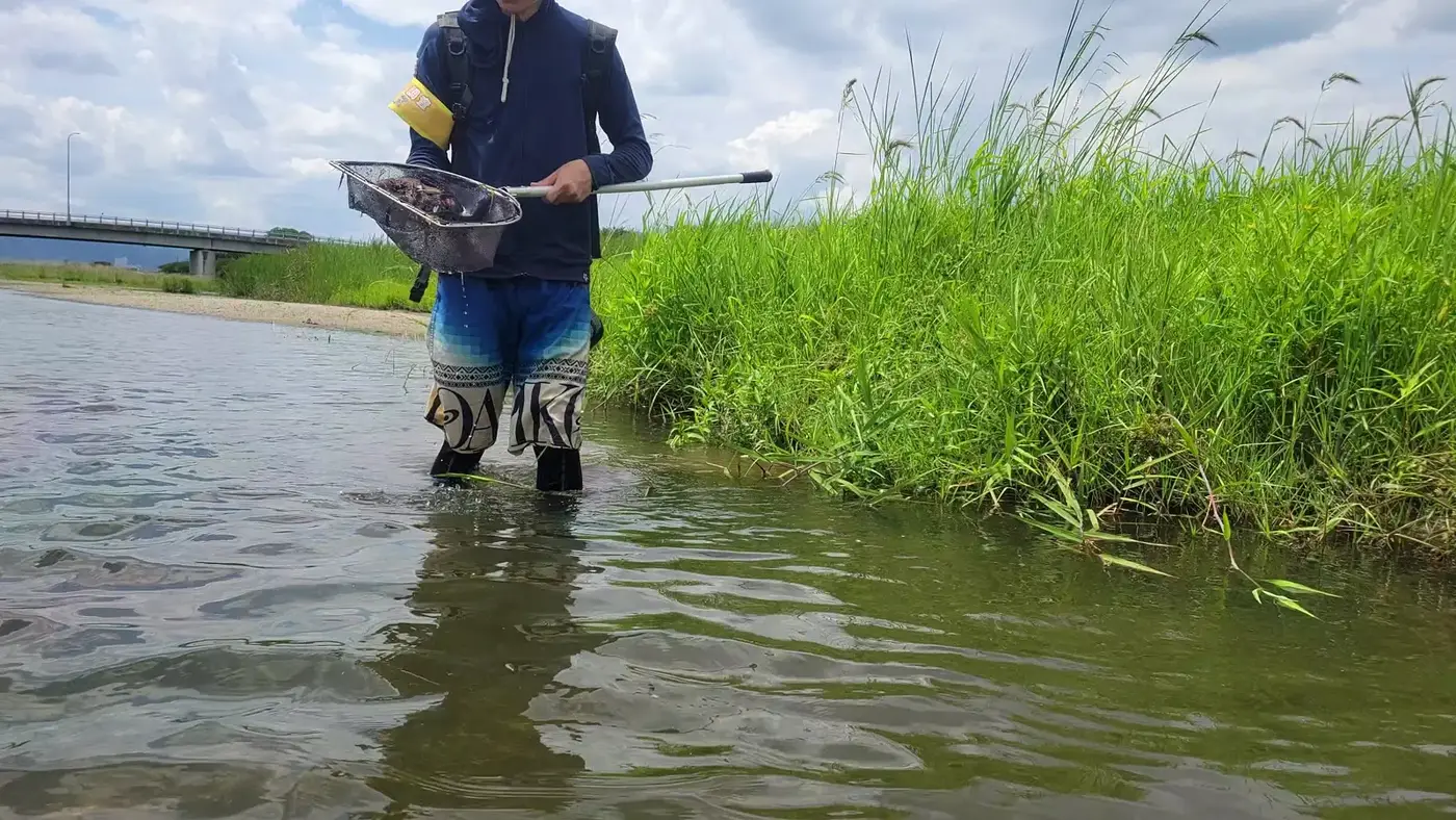 タモ網で生き物をすくい上げた瞬間